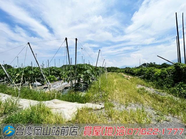 屏東新埤農地-2