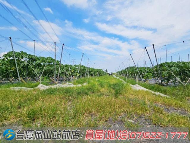 屏東新埤農地-3