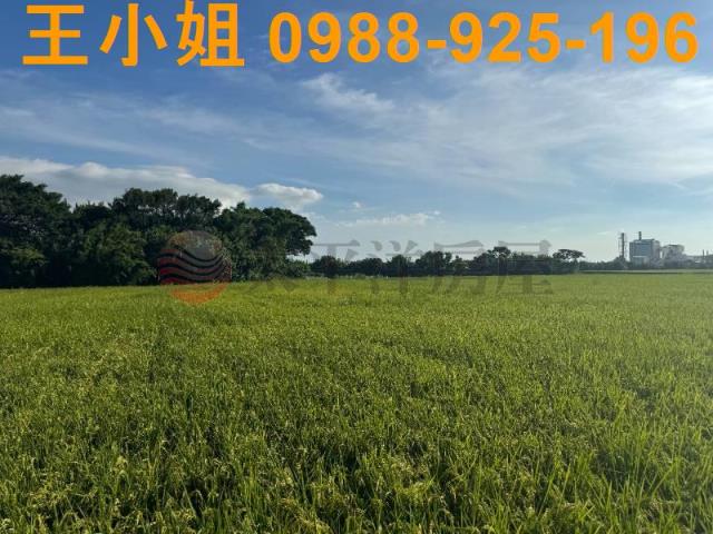 桃園新屋農地-10