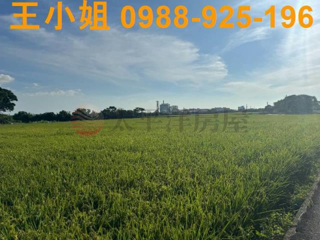 桃園新屋農地-11