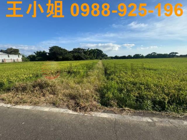 桃園新屋農地-12