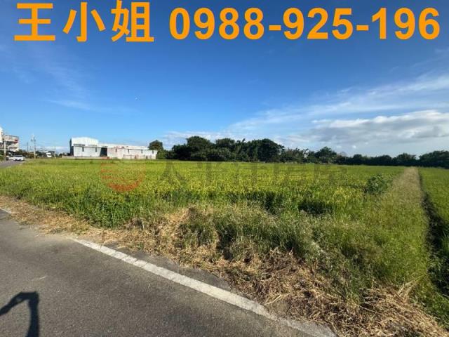 桃園新屋農地-13