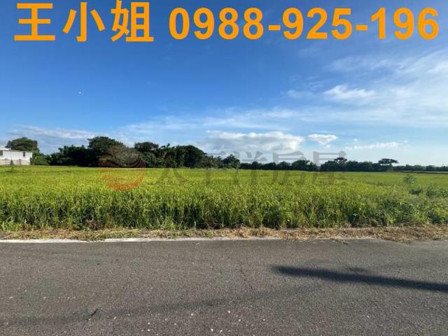 桃園新屋農地-14