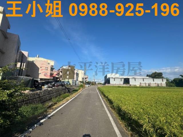 桃園新屋農地-2