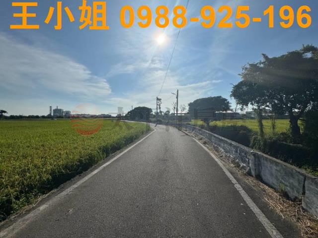 桃園新屋農地-3