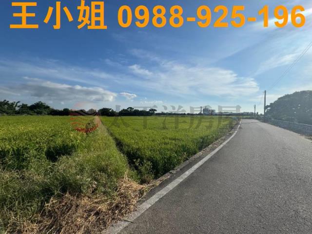 桃園新屋農地-5