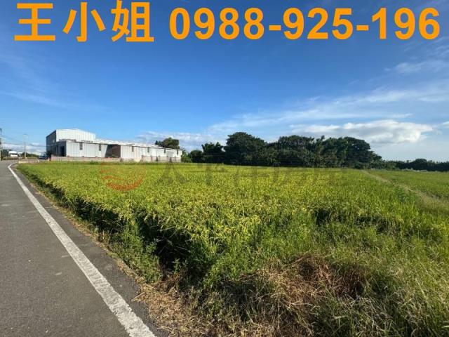 桃園新屋農地-8