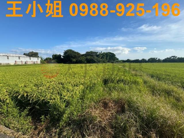 桃園新屋農地-9