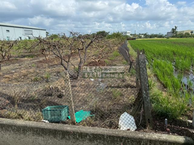 嘉義水上農地-6