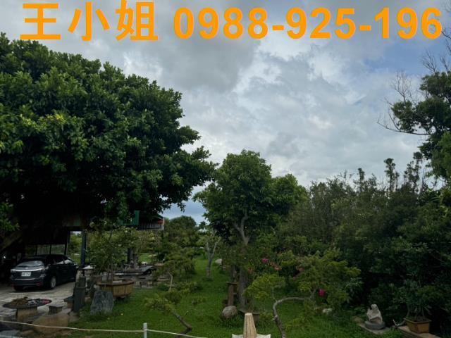 新屋農地-10