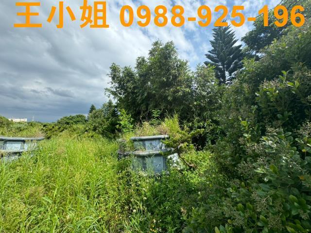 新屋農地-12