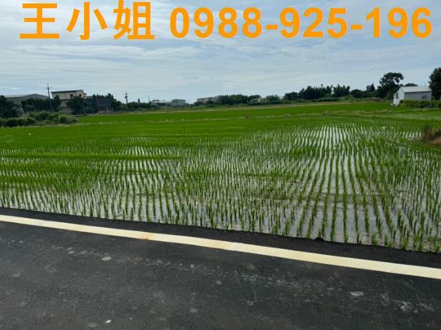 新屋農地-5