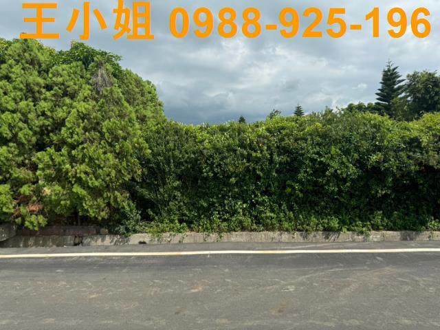 新屋農地-6