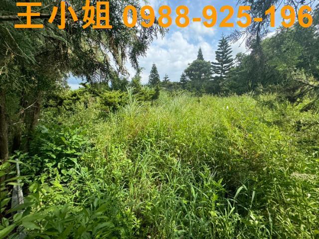 新屋農地-9