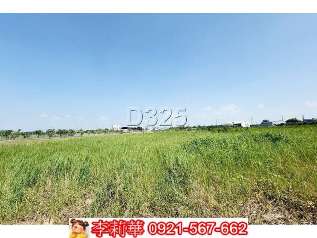 麻豆農地-11