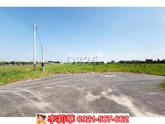 麻豆農地-5