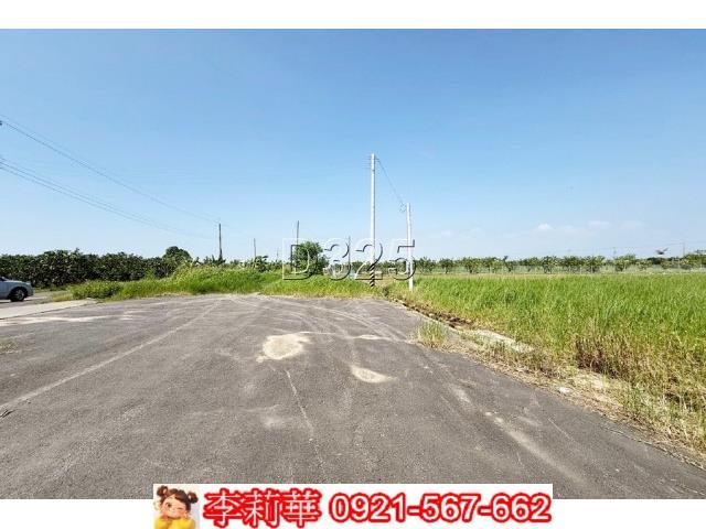 麻豆農地-6