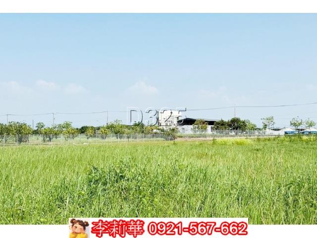 麻豆農地-8