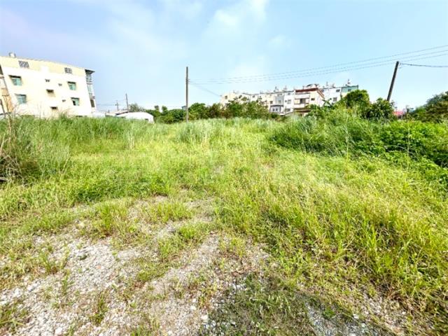 新園建地-3