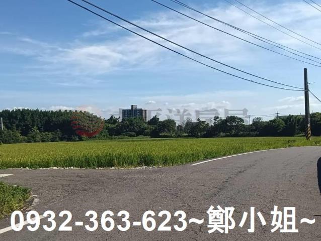 大園農地-2