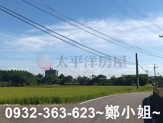 大園農地-3