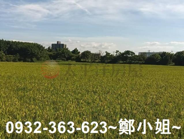 大園農地-4