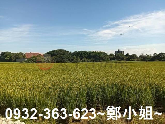 大園農地-5