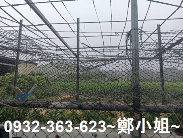 桃園農地-1