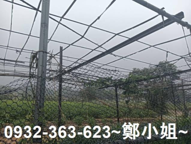桃園農地-3