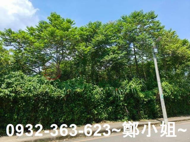 桃園農地-8