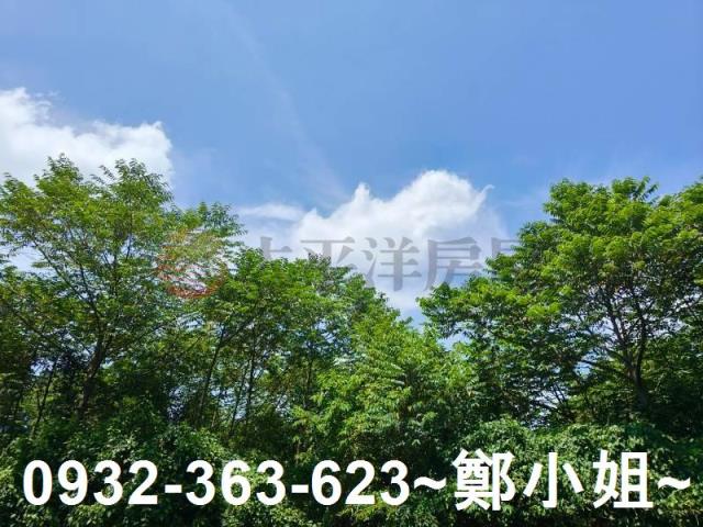 桃園農地-9