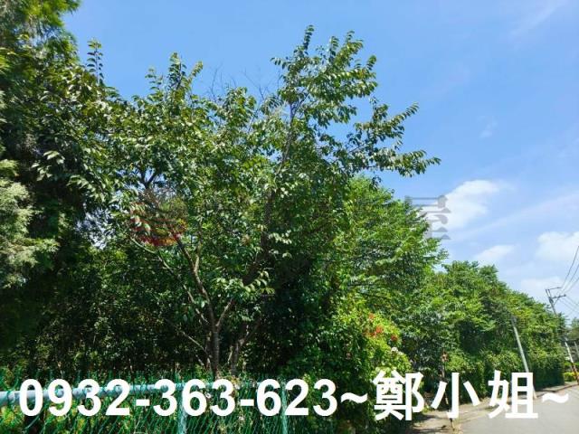 桃園農地-11