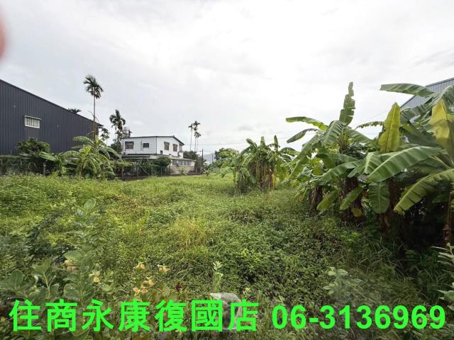 台中農地-8