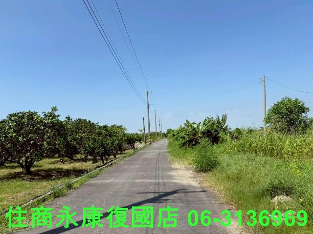 台南農地-12