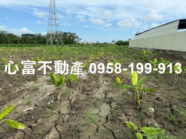 高雄農地-1