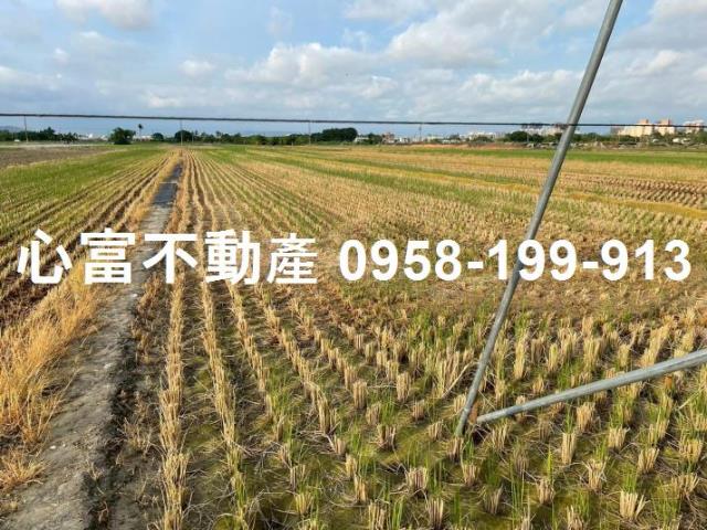 高雄橋頭農地-1