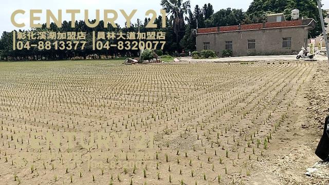 彰化埔鹽農地-1