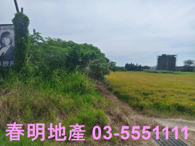 新竹新豐農地-10