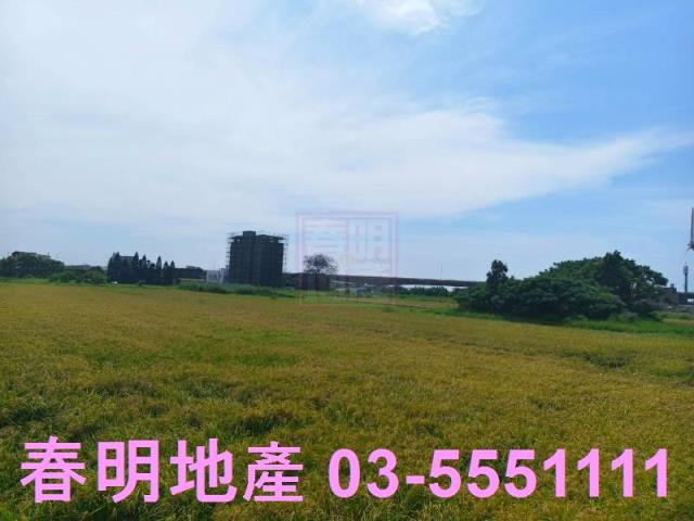 新竹新豐農地-6