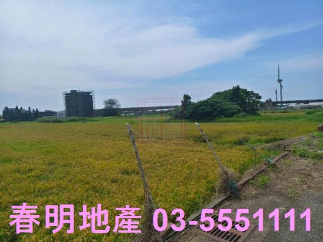 新竹新豐農地-8