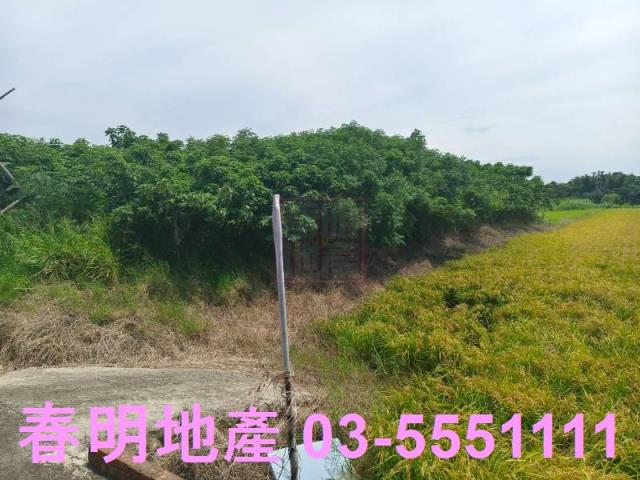 新竹新豐農地-9
