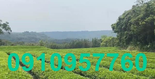 桃園龍潭農地-1