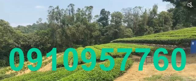 桃園龍潭農地-2