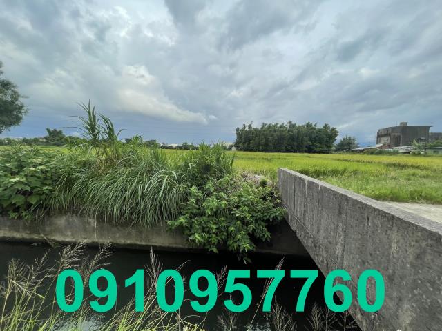 楊梅農地-5