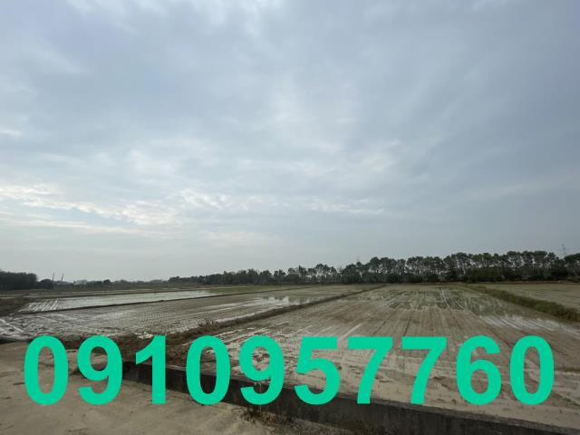楊梅農地-1