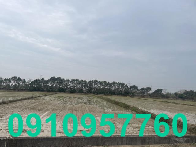 楊梅農地-5