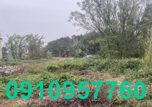 楊梅農地-2