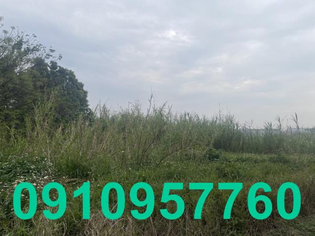 楊梅農地-6