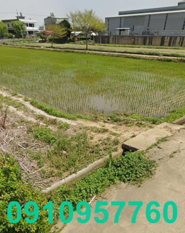 楊梅農地-4