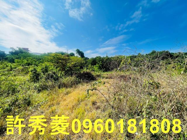 高雄燕巢農地-10